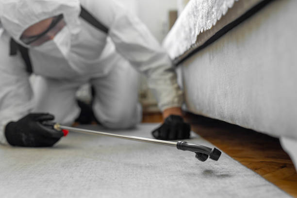 Professional Pest Control technician working in Quitman County County, GA